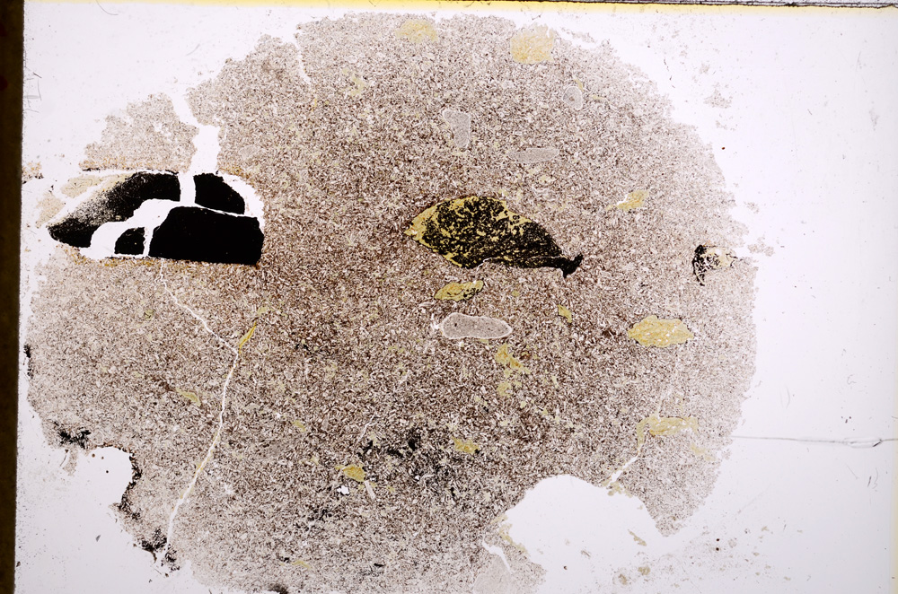 Plane Polarized, E16424