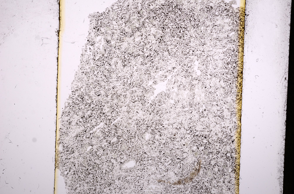 Plane Polarized, E16425