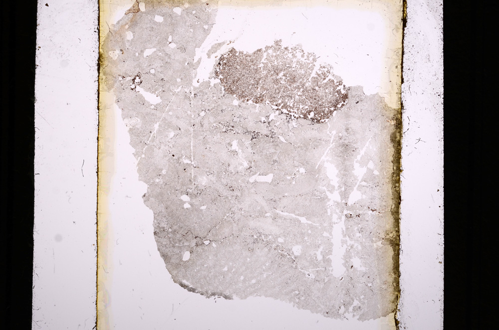 Plane Polarized, E16428
