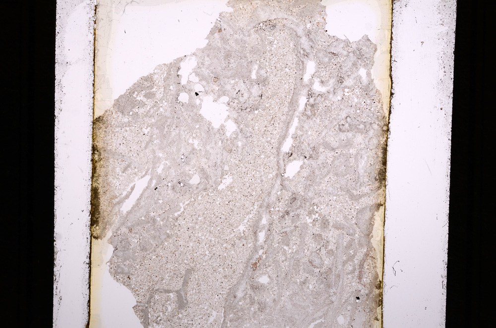 Plane Polarized, E16429