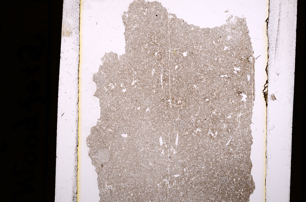 Plane Polarized, E16443