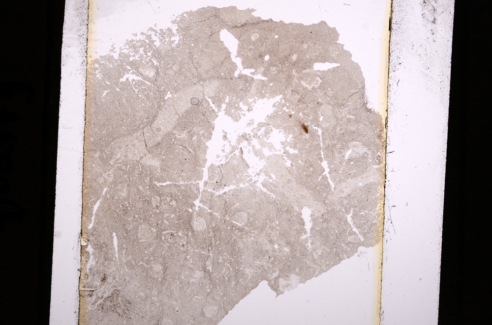 Plane Polarized, E16445