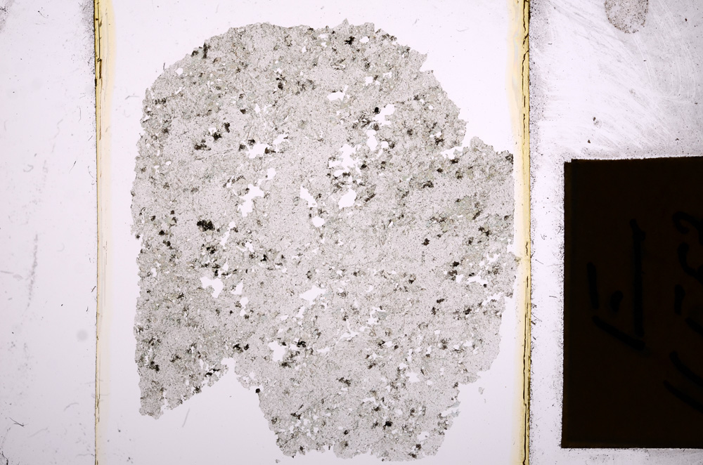 Plane Polarized, E16553