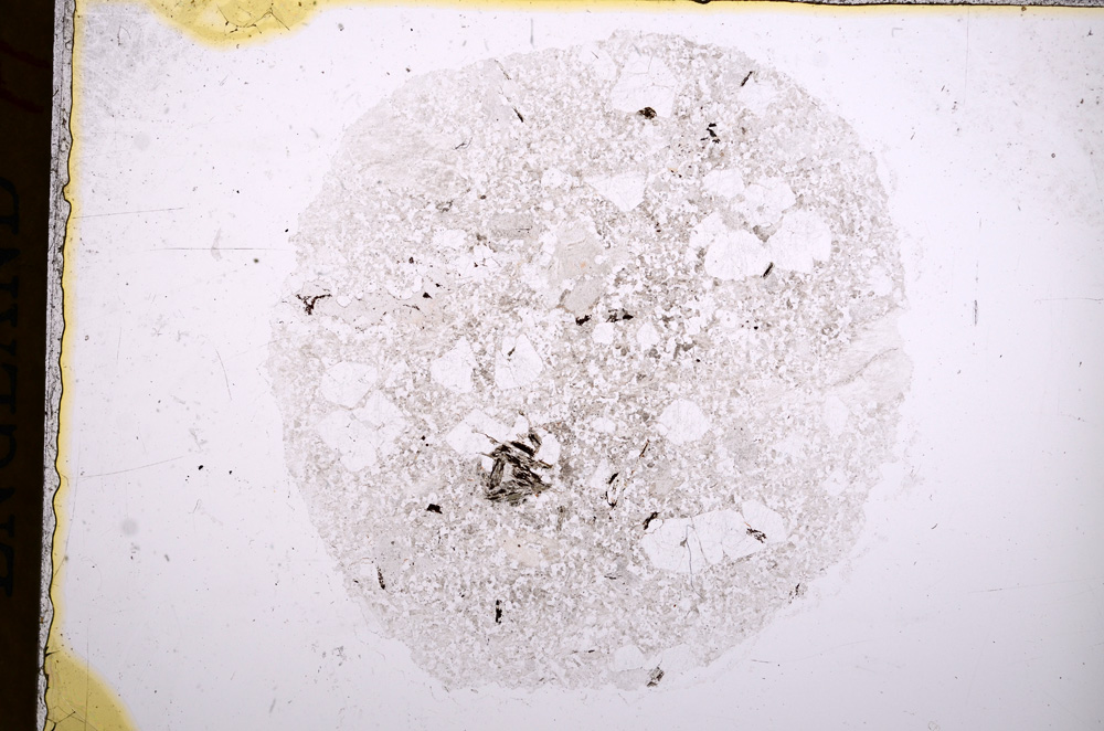 Plane Polarized, E16673