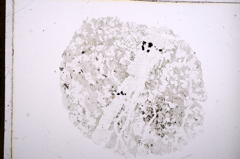 Plane Polarized, E16694