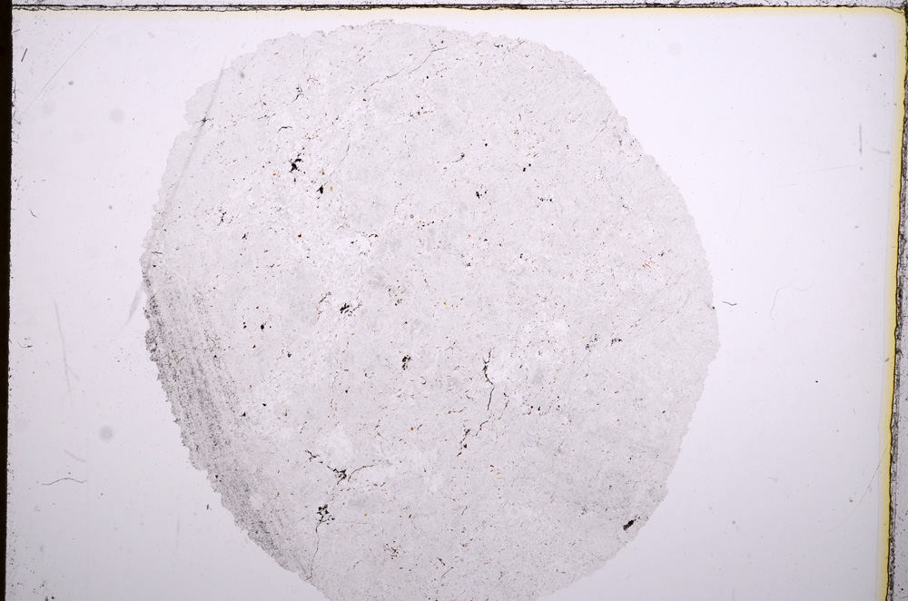 Plane Polarized, E16696