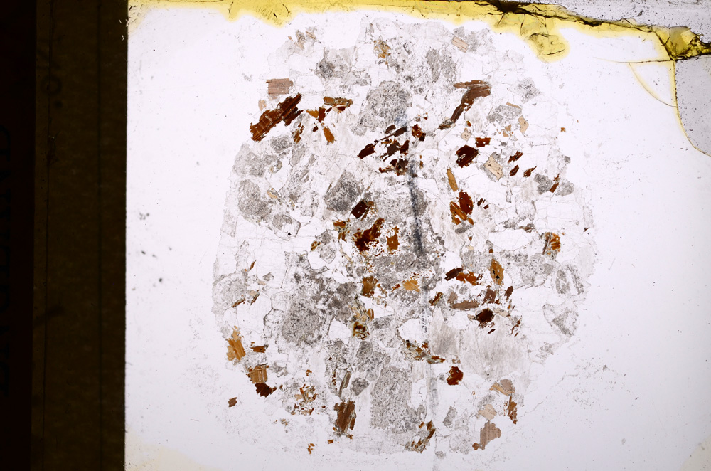 Plane Polarized, E16732