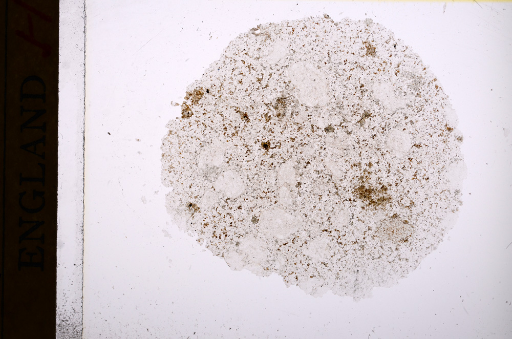 Plane Polarized, E16740