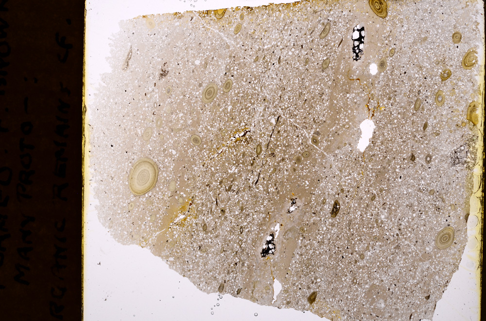 Plane Polarized, E16757