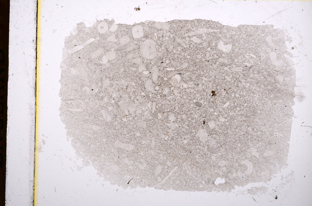 Plane Polarized, E16784