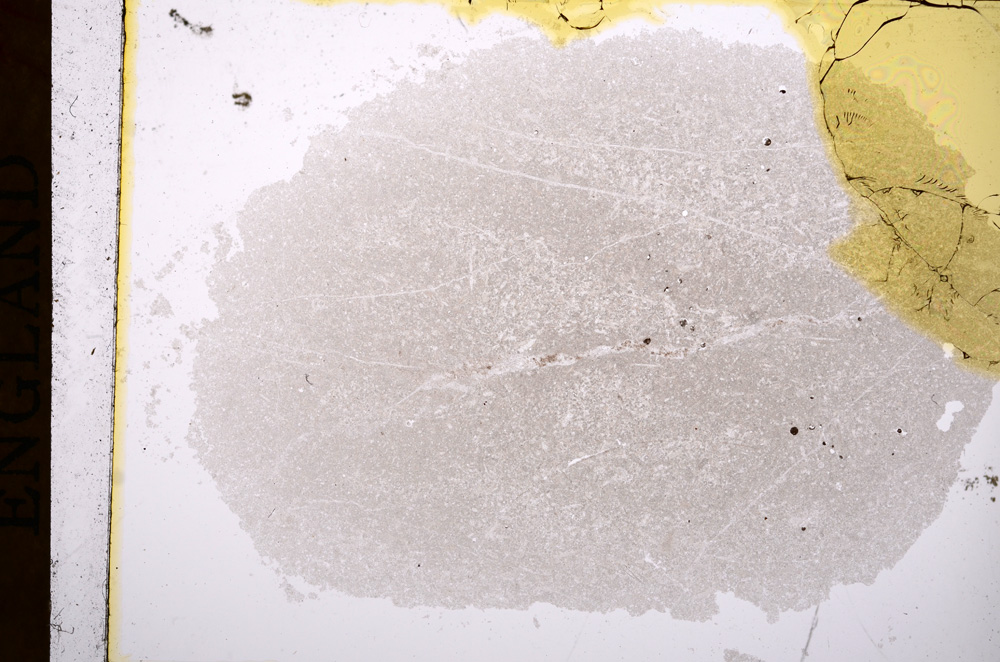 Plane Polarized, E16785