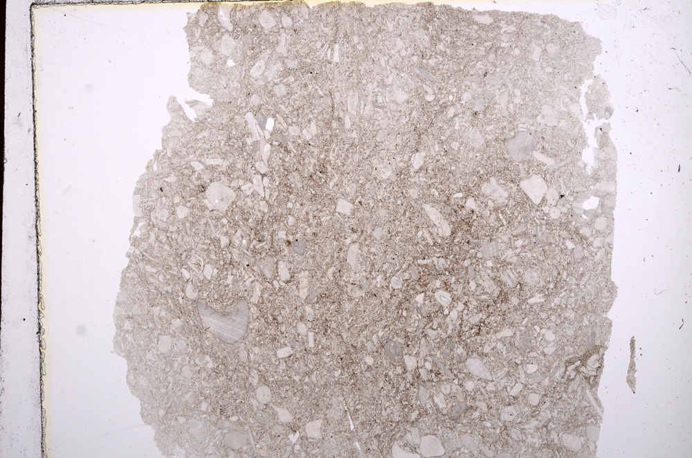 Plane Polarized, E16786