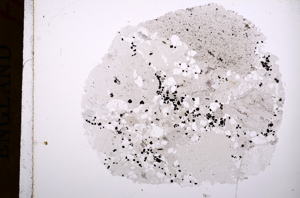 Plane Polarized, E16795