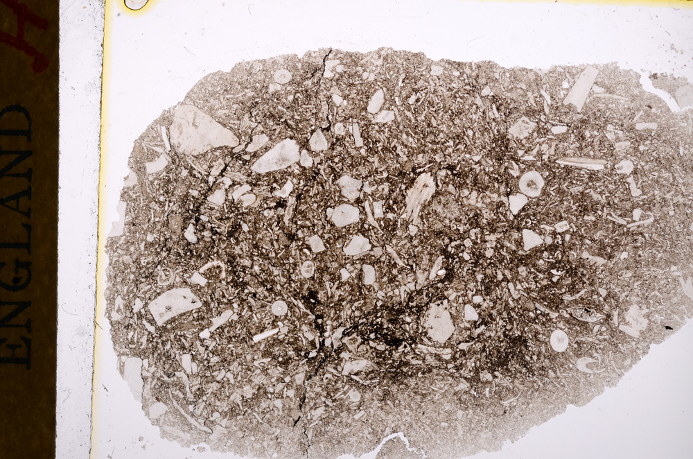 Plane Polarized, E16798