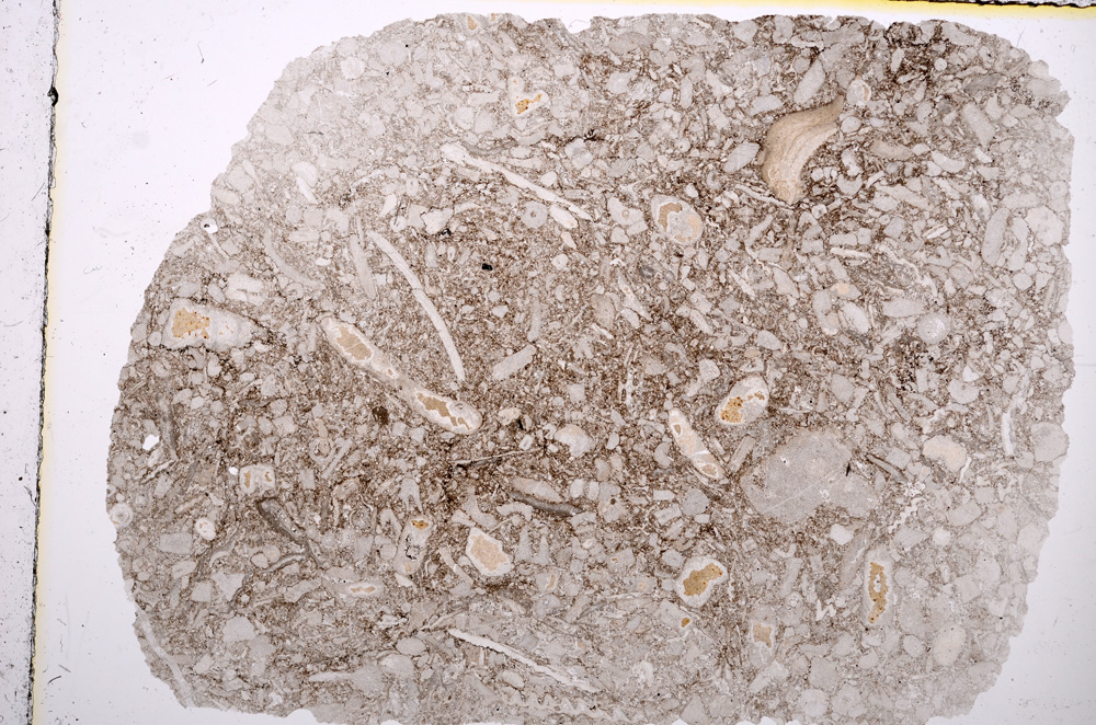 Plane Polarized, E16799