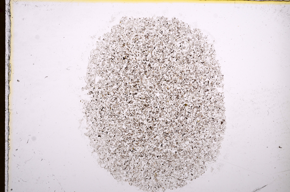 Plane Polarized, E16814