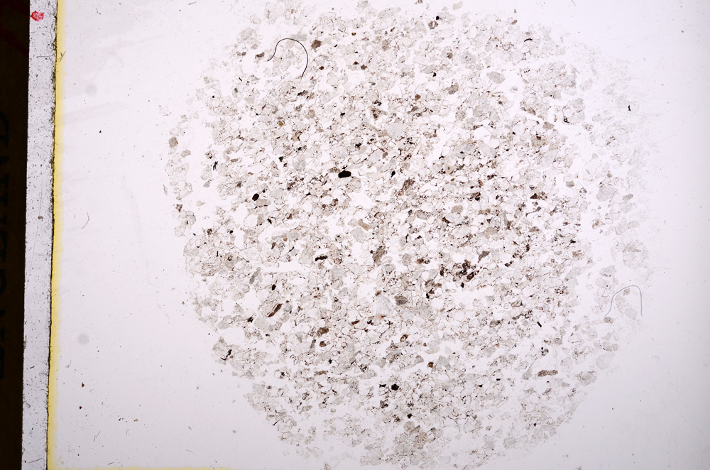 Plane Polarized, E16815