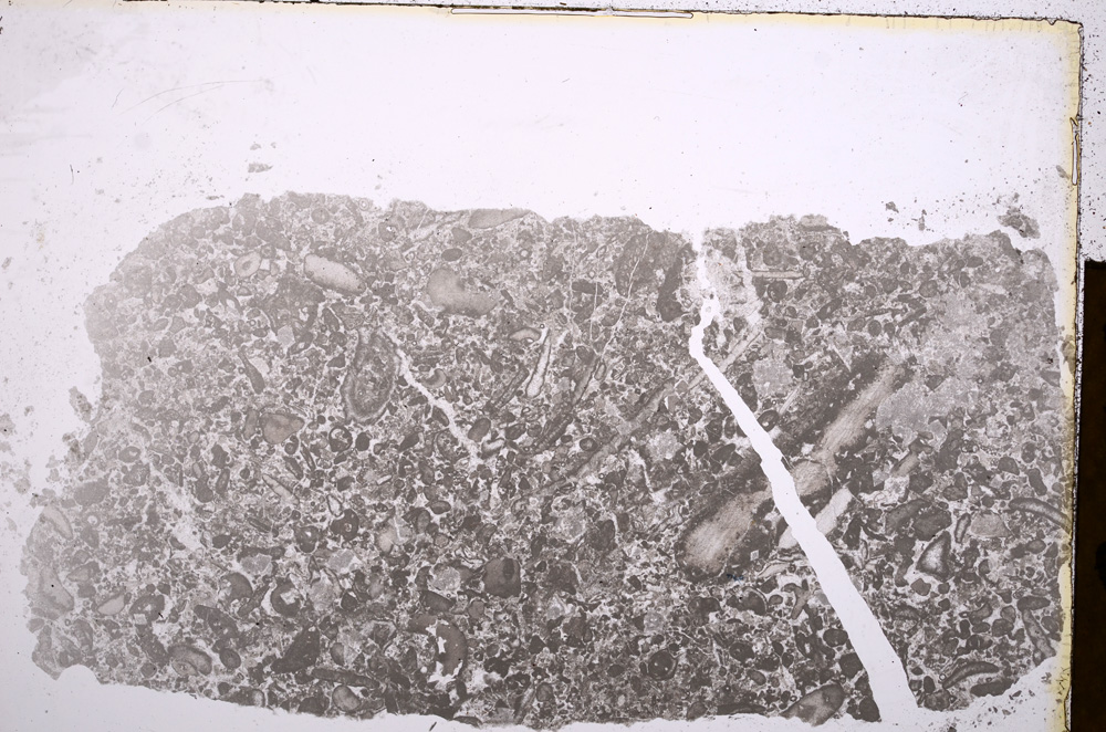 Plane Polarized, E16825