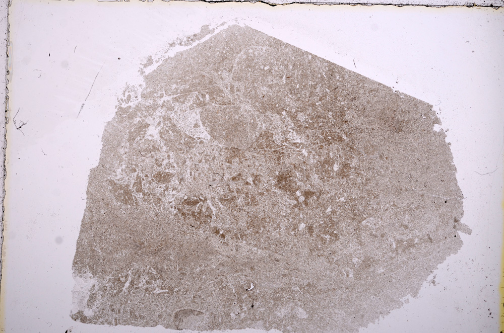 Plane Polarized, E16828