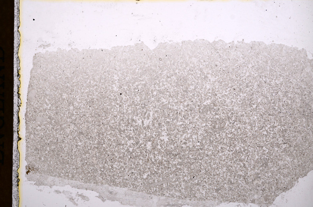 Plane Polarized, E16851