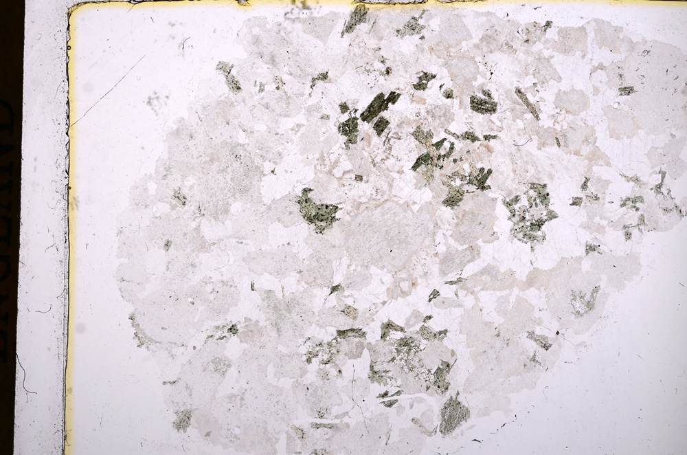Plane Polarized, E16858