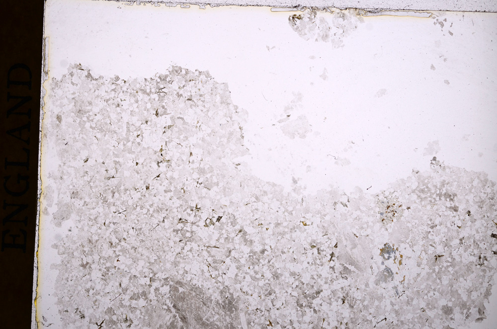 Plane Polarized, E16859