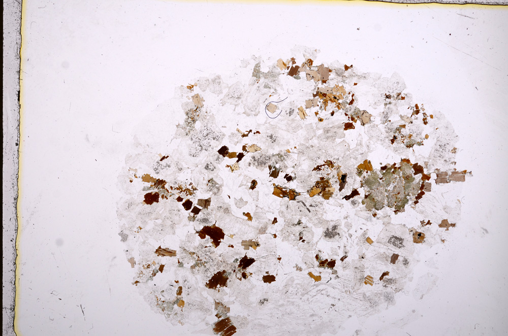 Plane Polarized, E16864