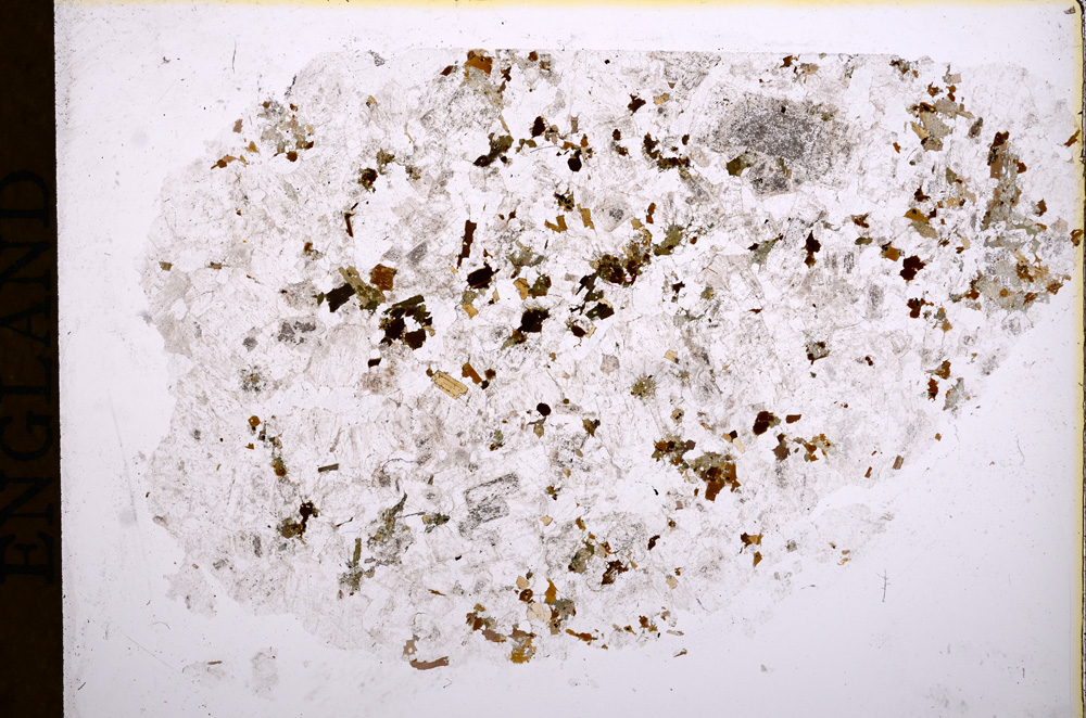 Plane Polarized, E16865