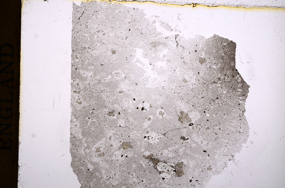 Plane Polarized, E16876