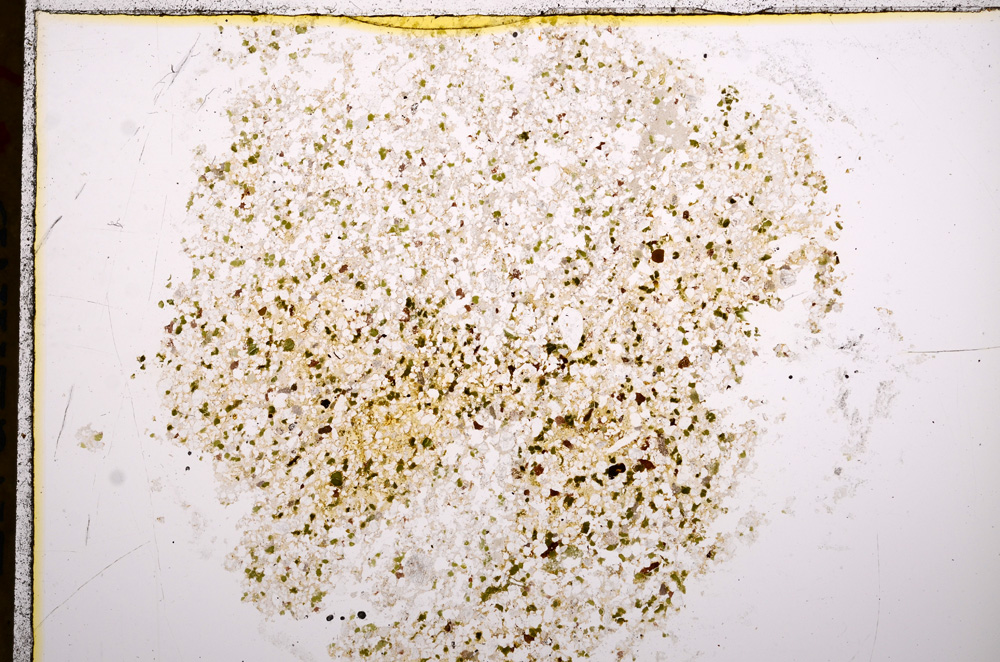 Plane Polarized, E16903