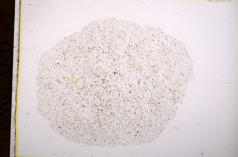 Plane Polarized, E16904