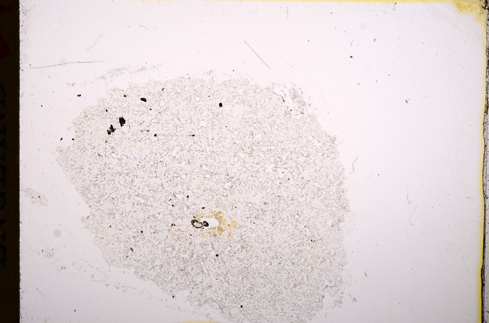 Plane Polarized, E16906