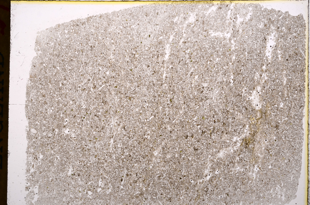 Plane Polarized, E16909