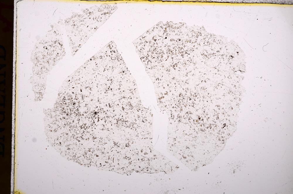 Plane Polarized, E16911