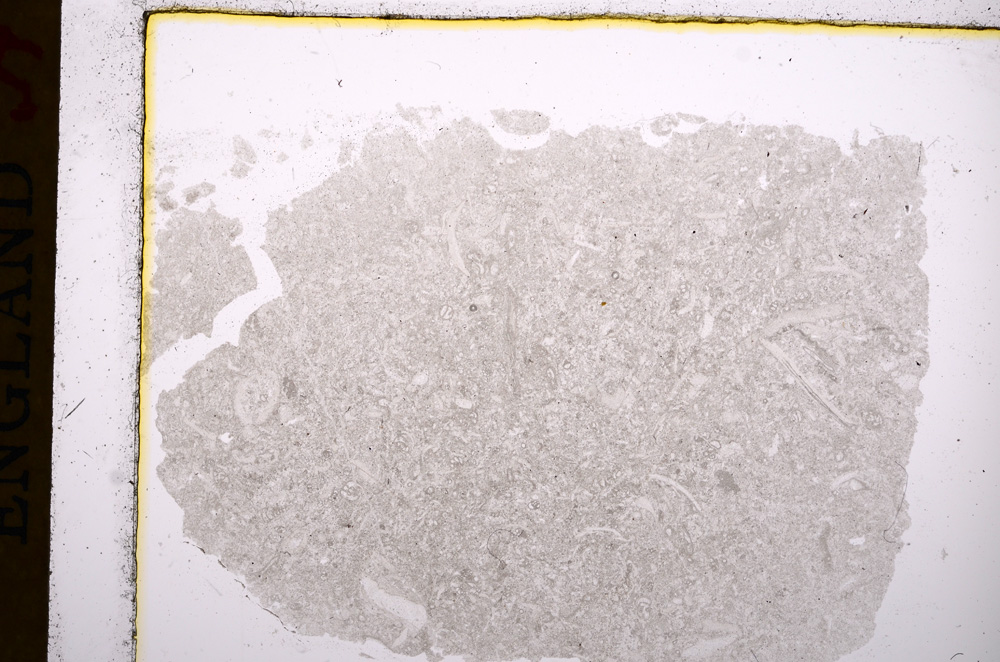 Plane Polarized, E16930