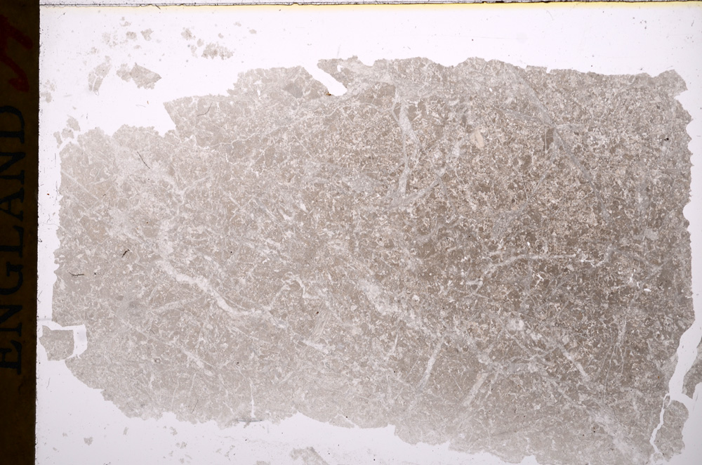 Plane Polarized, E16932