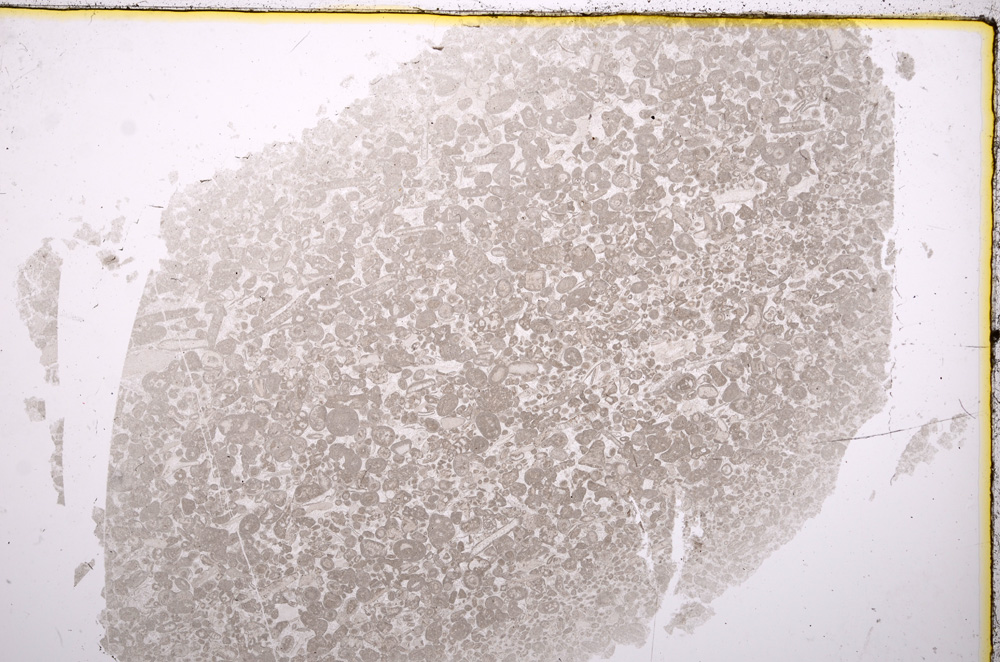 Plane Polarized, E16933