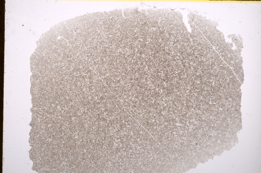 Plane Polarized, E16934