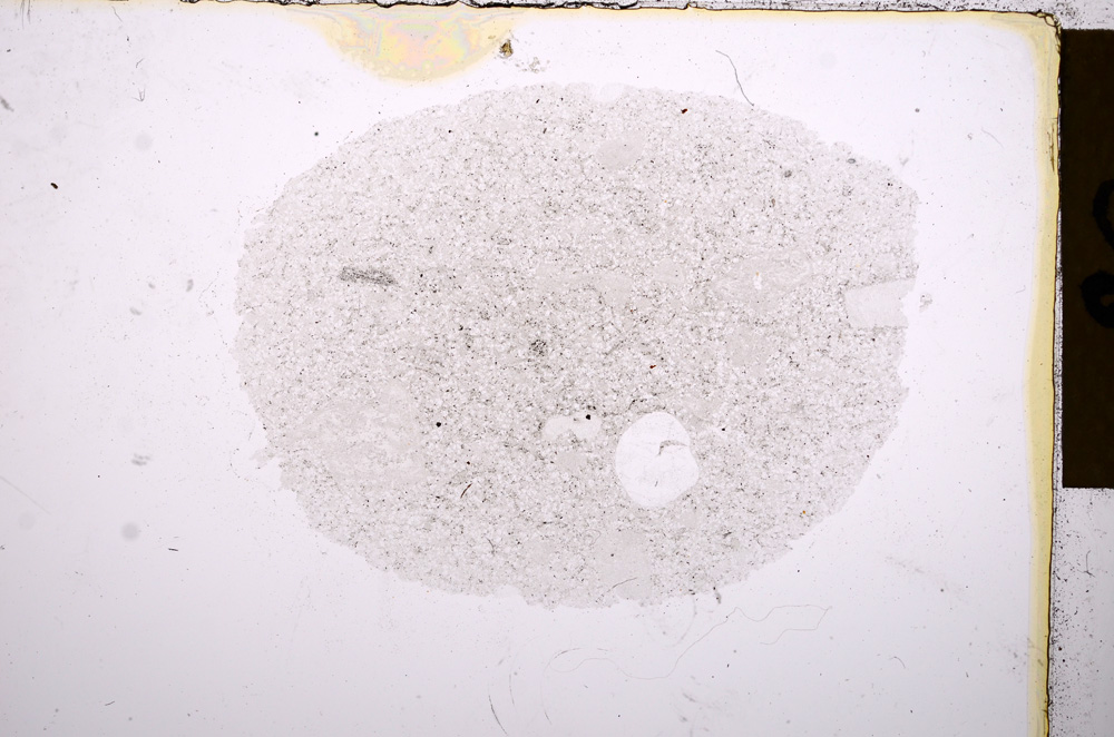 Plane Polarized, E16935