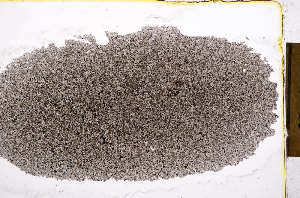 Plane Polarized, E16941