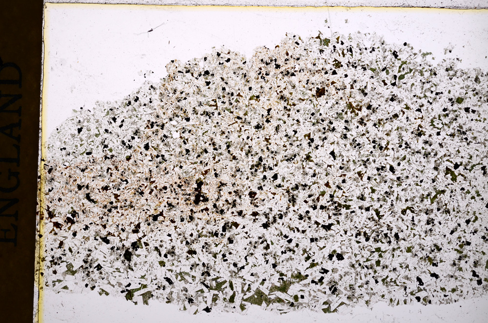 Plane Polarized, E16955