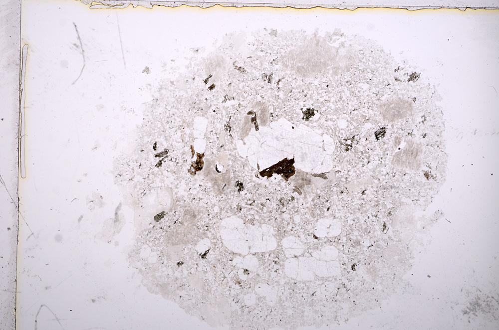 Plane Polarized, E16983