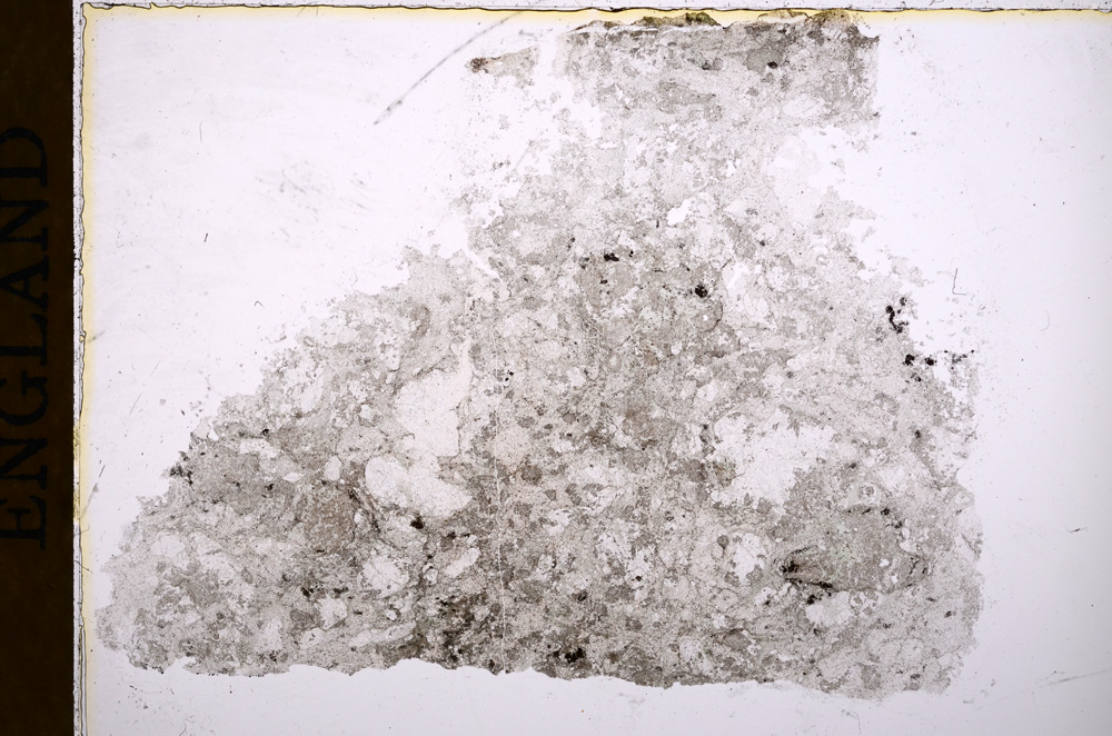 Plane Polarized, E16992