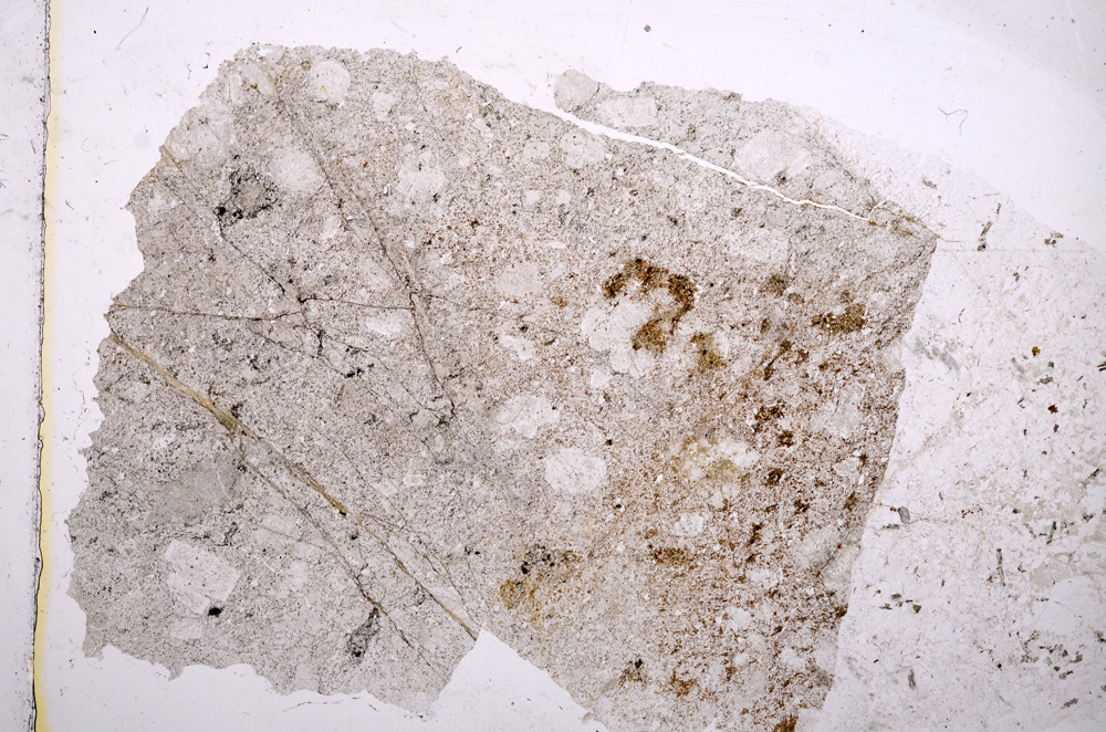 Plane Polarized, E16998