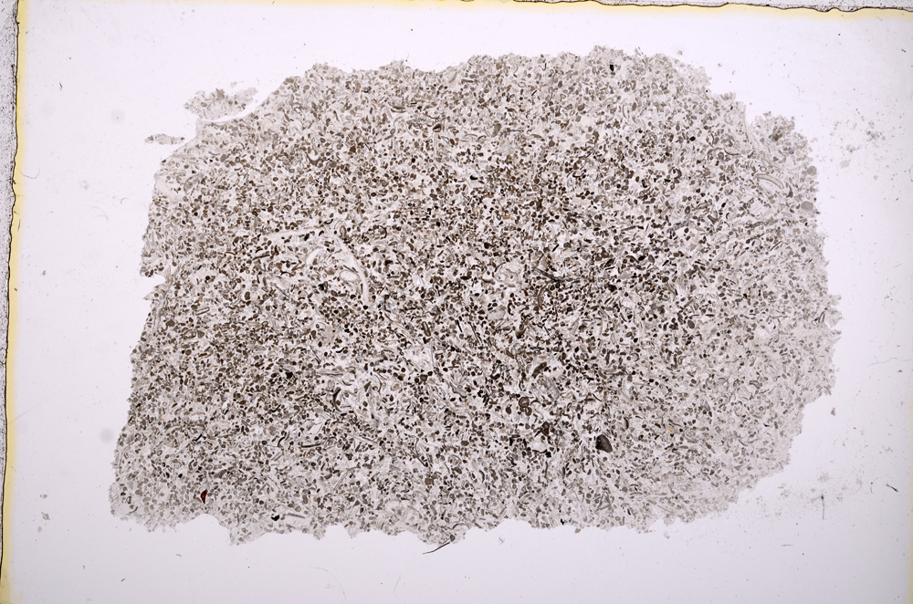 Plane Polarized, E17005