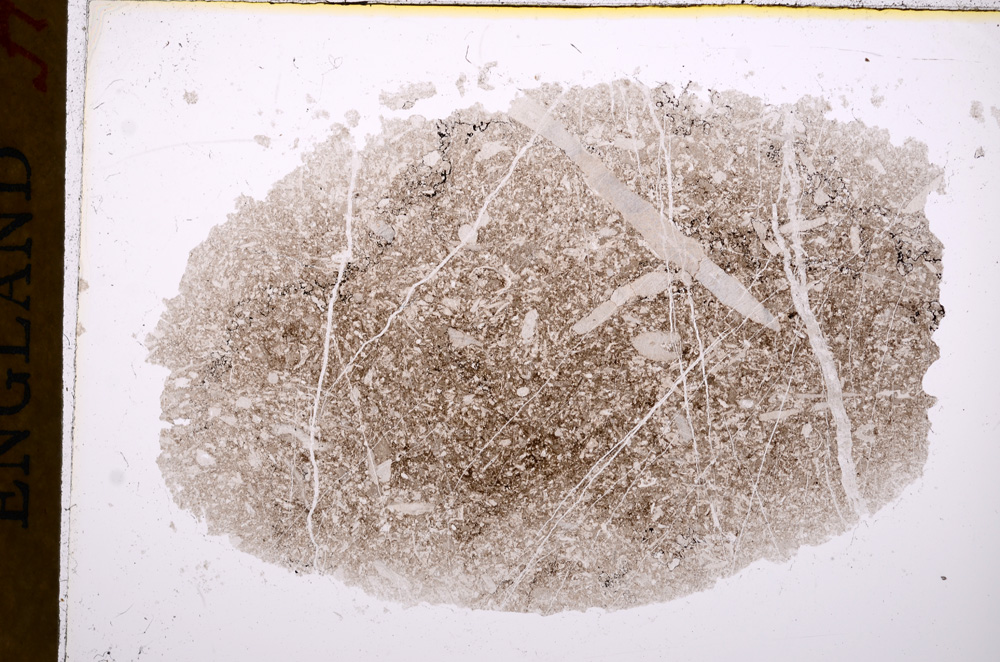 Plane Polarized, E17055