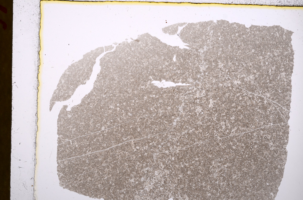 Plane Polarized, E17057