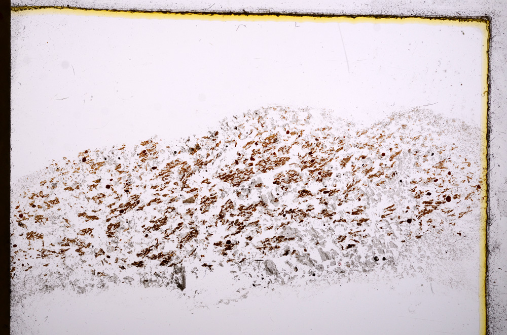 Plane Polarized, E17059