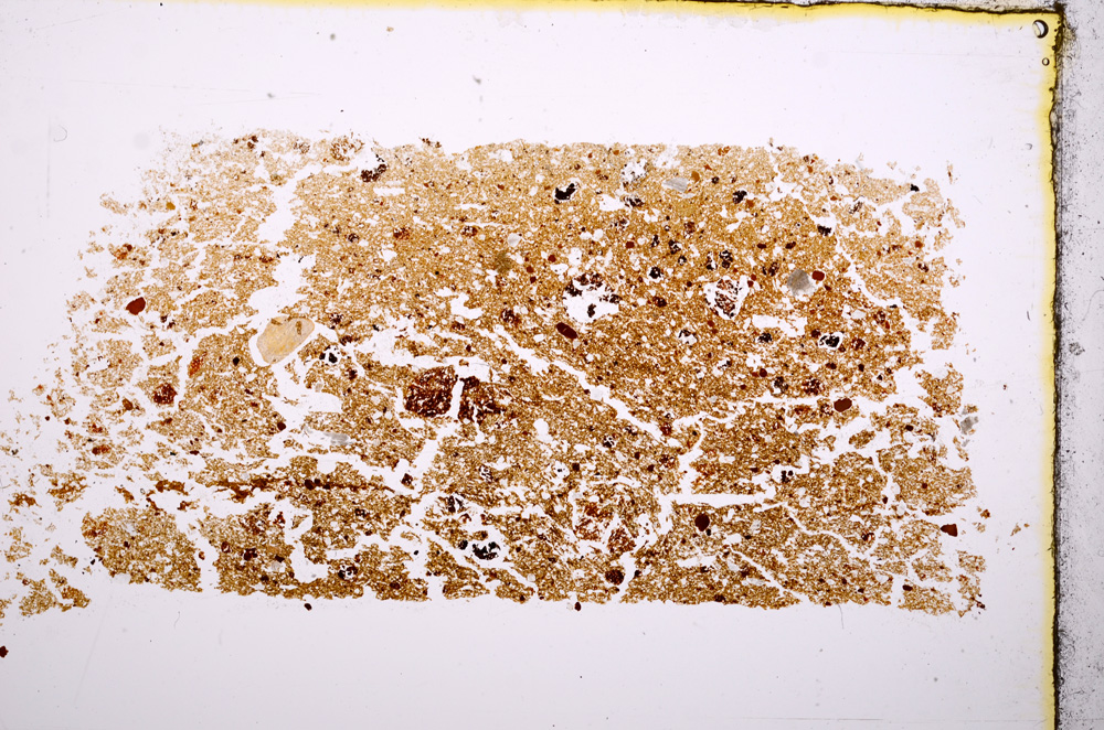 Plane Polarized, E17063