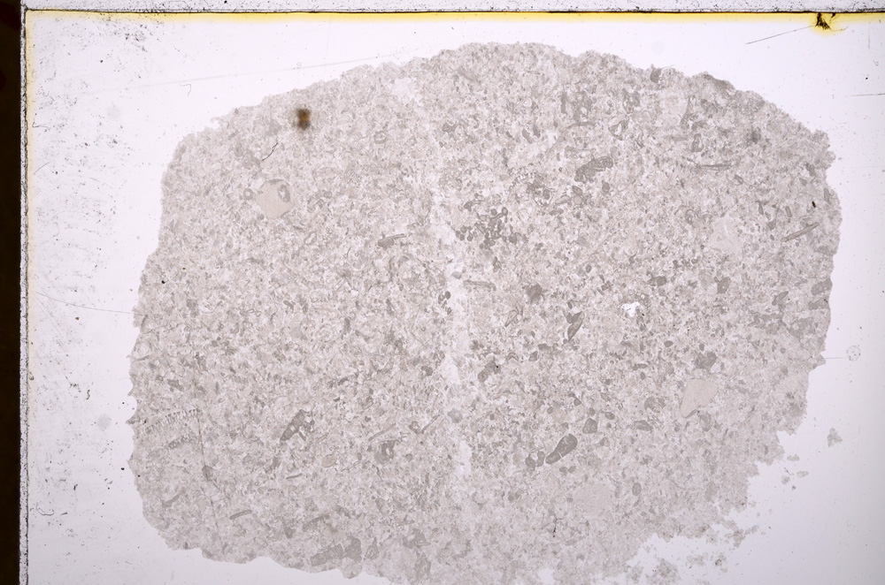 Plane Polarized, E17077